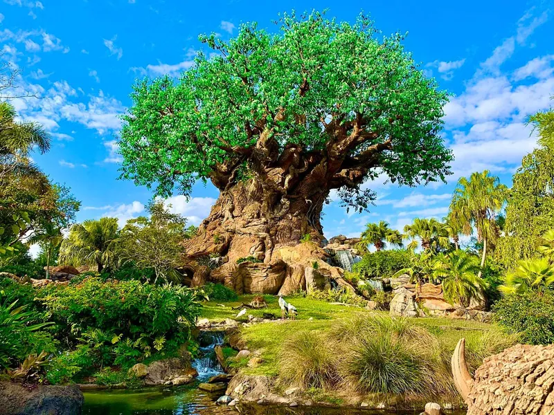 Tree of Life at Disney’s Animal Kingdom